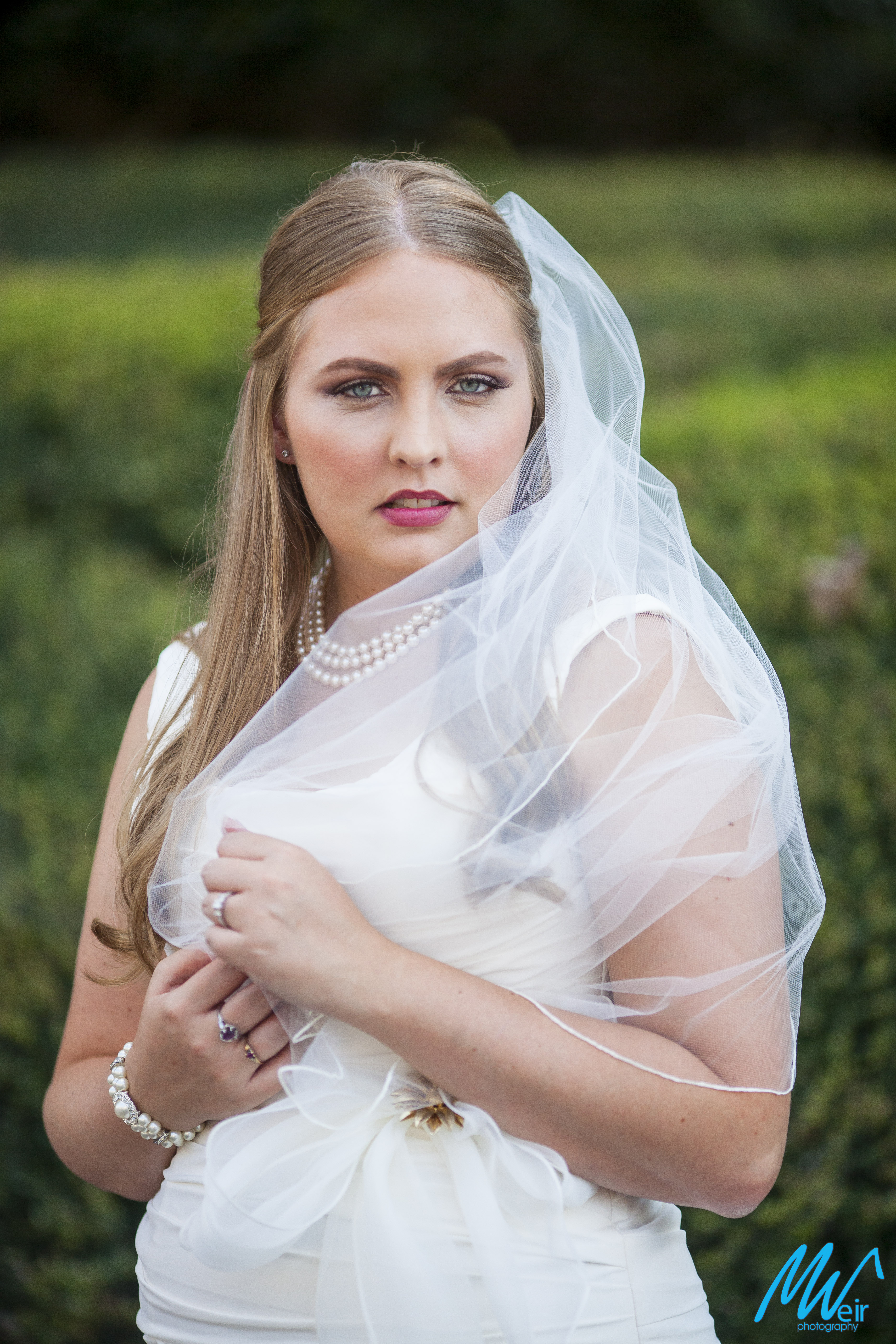 gorgeous headshot of bride and veil