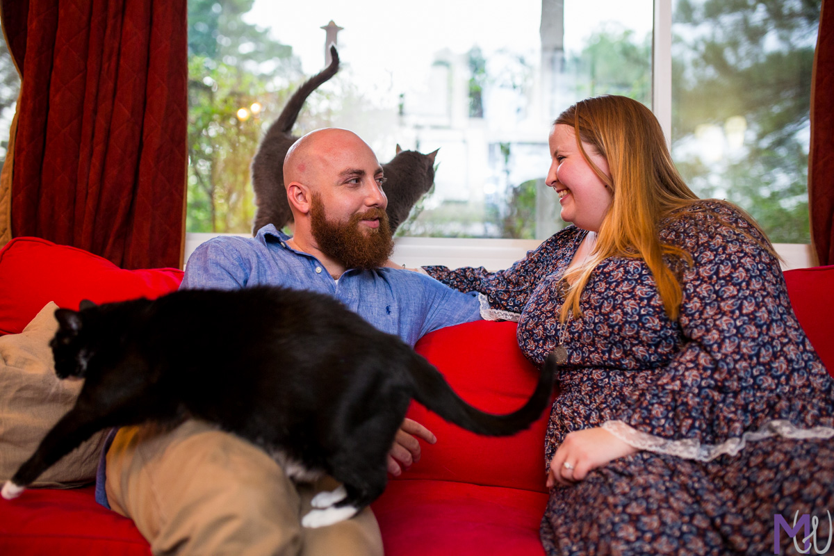 Home Lifestyle engagement sessions with dogs and cats