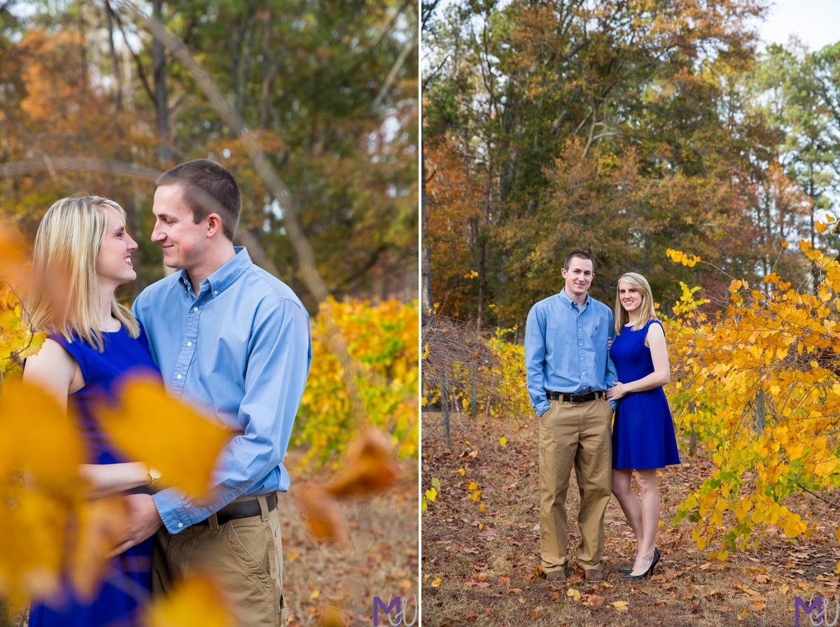 engagement photos in a family owned vineyard in palmetto