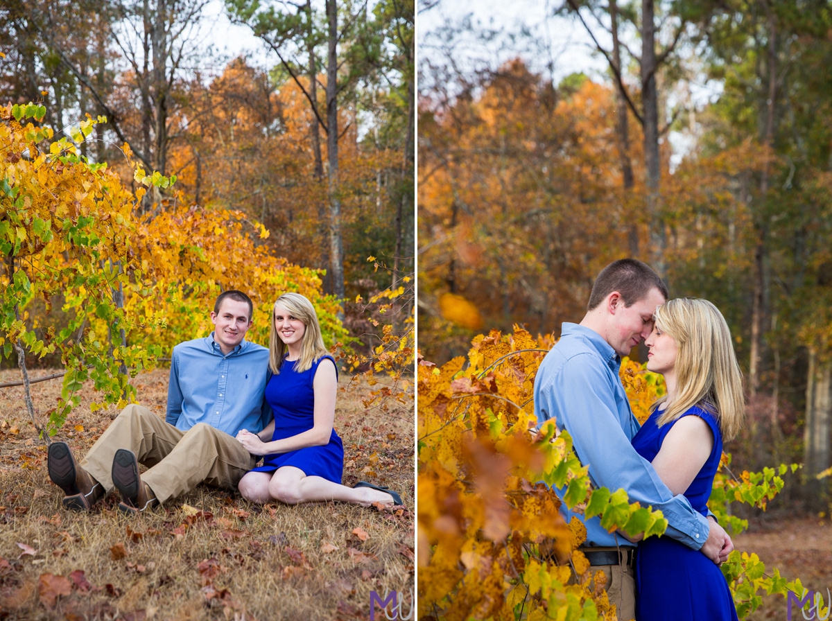 engagement photos in a family owned vineyard in palmetto
