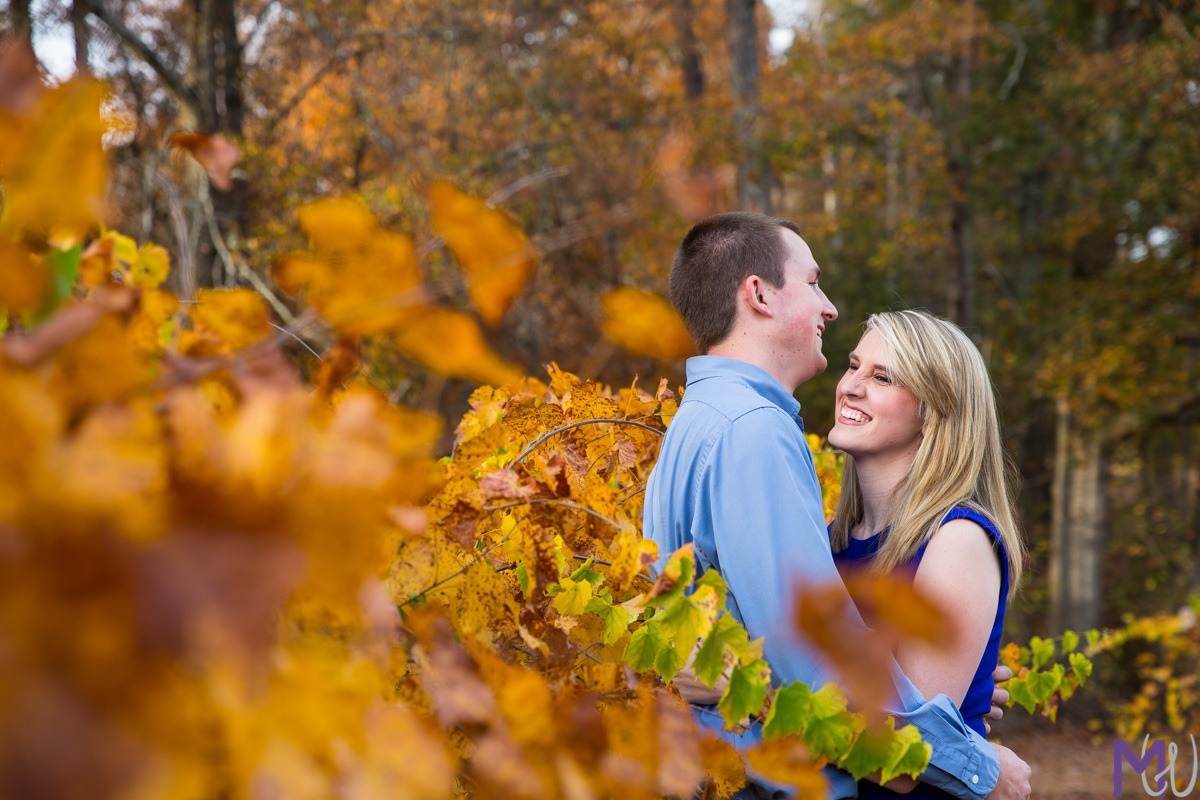 engagement photos in a family owned vineyard in palmetto with fall leaves