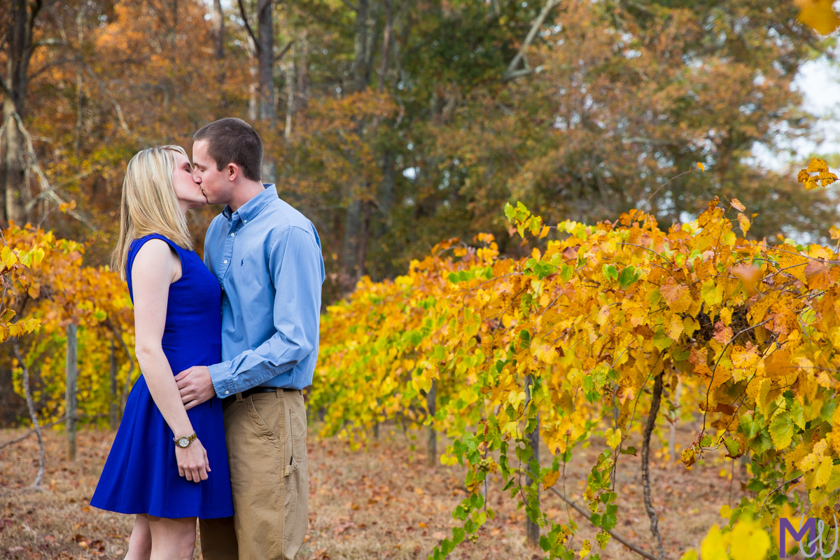 engagement photos in a family owned vineyard in palmetto with fall leaves