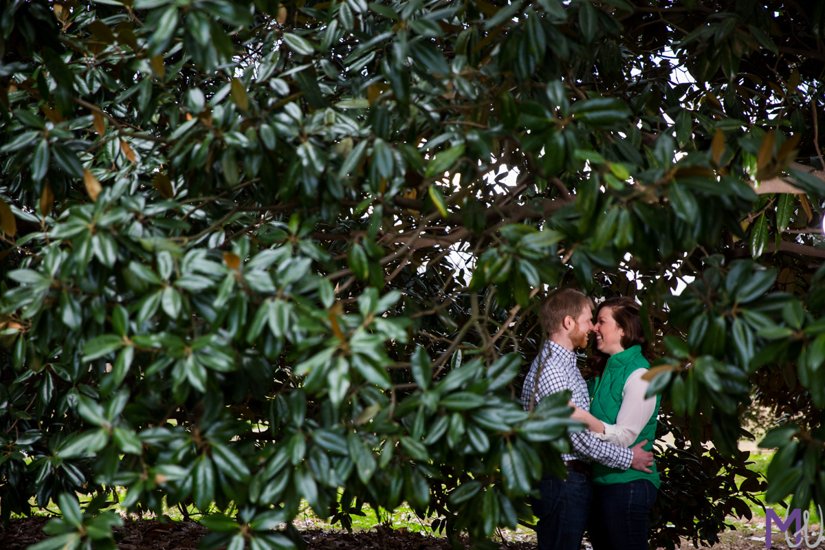 couple in a magnolia tree