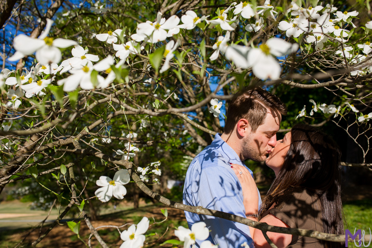 bride and groom kissing in dogwood tree