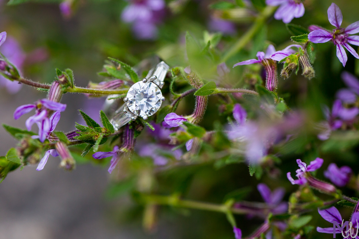 engagement ring in purple flowers