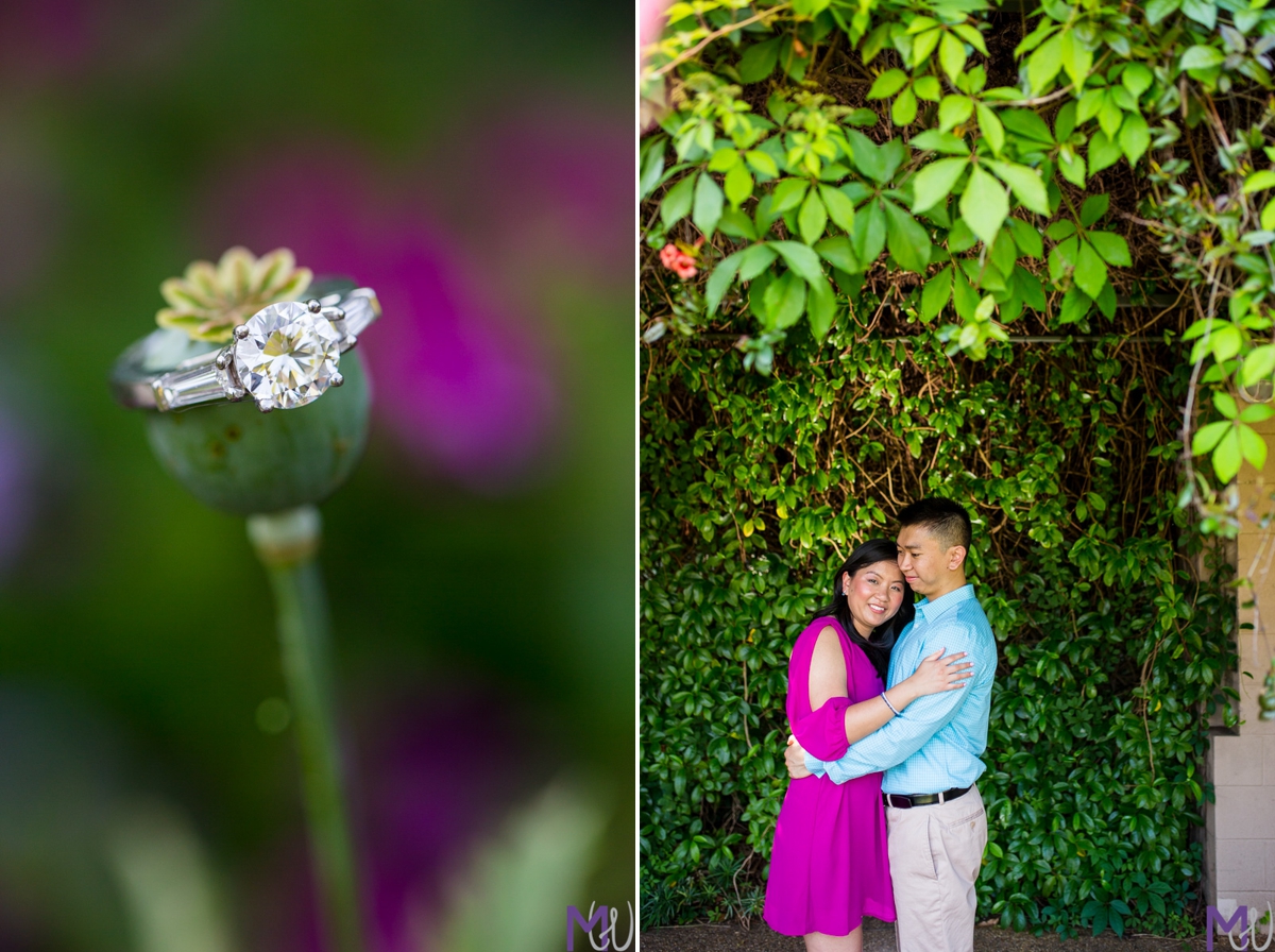 spring Engagement session at the atlanta botanical garden