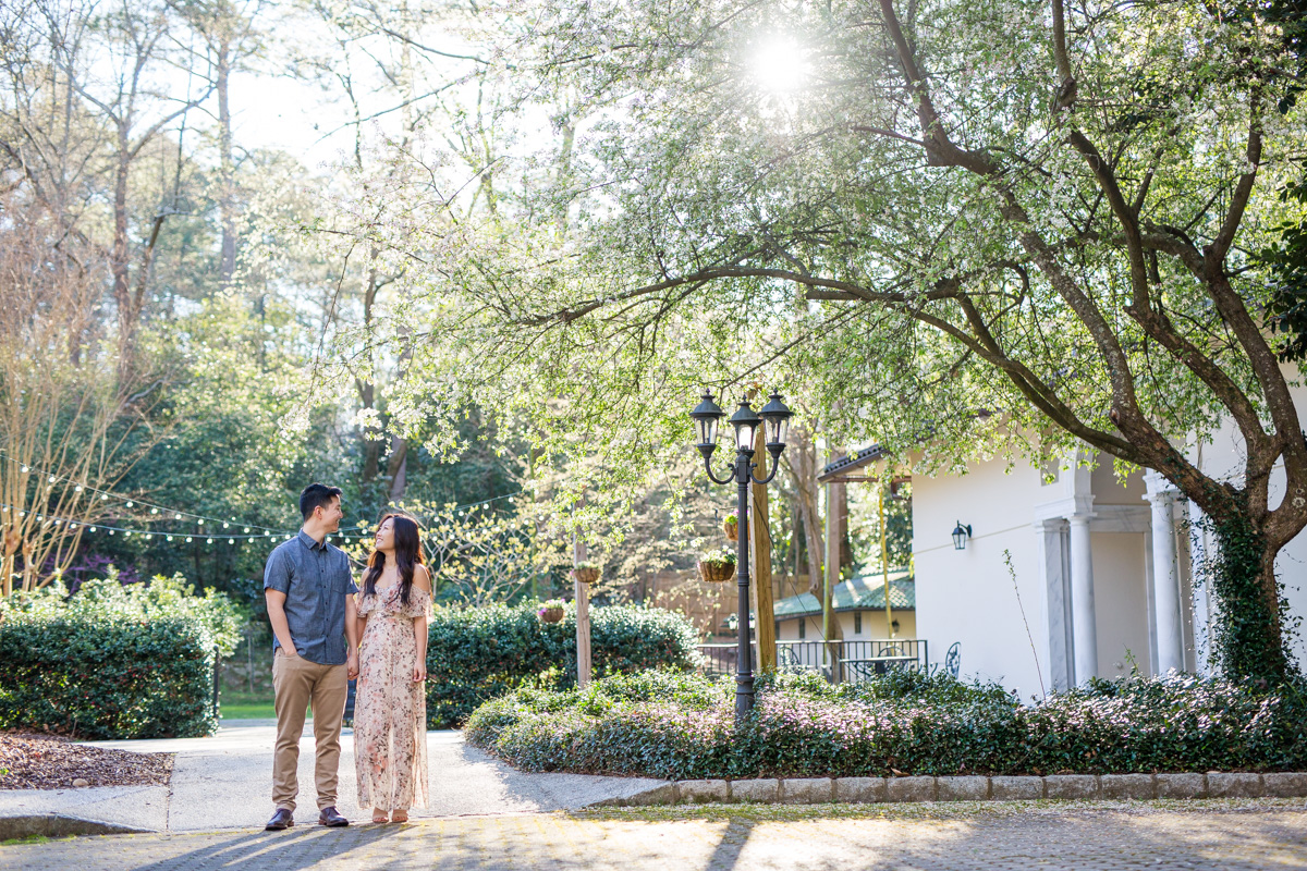 Cator Woolford Gardens engagement session in the spring time with cherry blossoms blooming