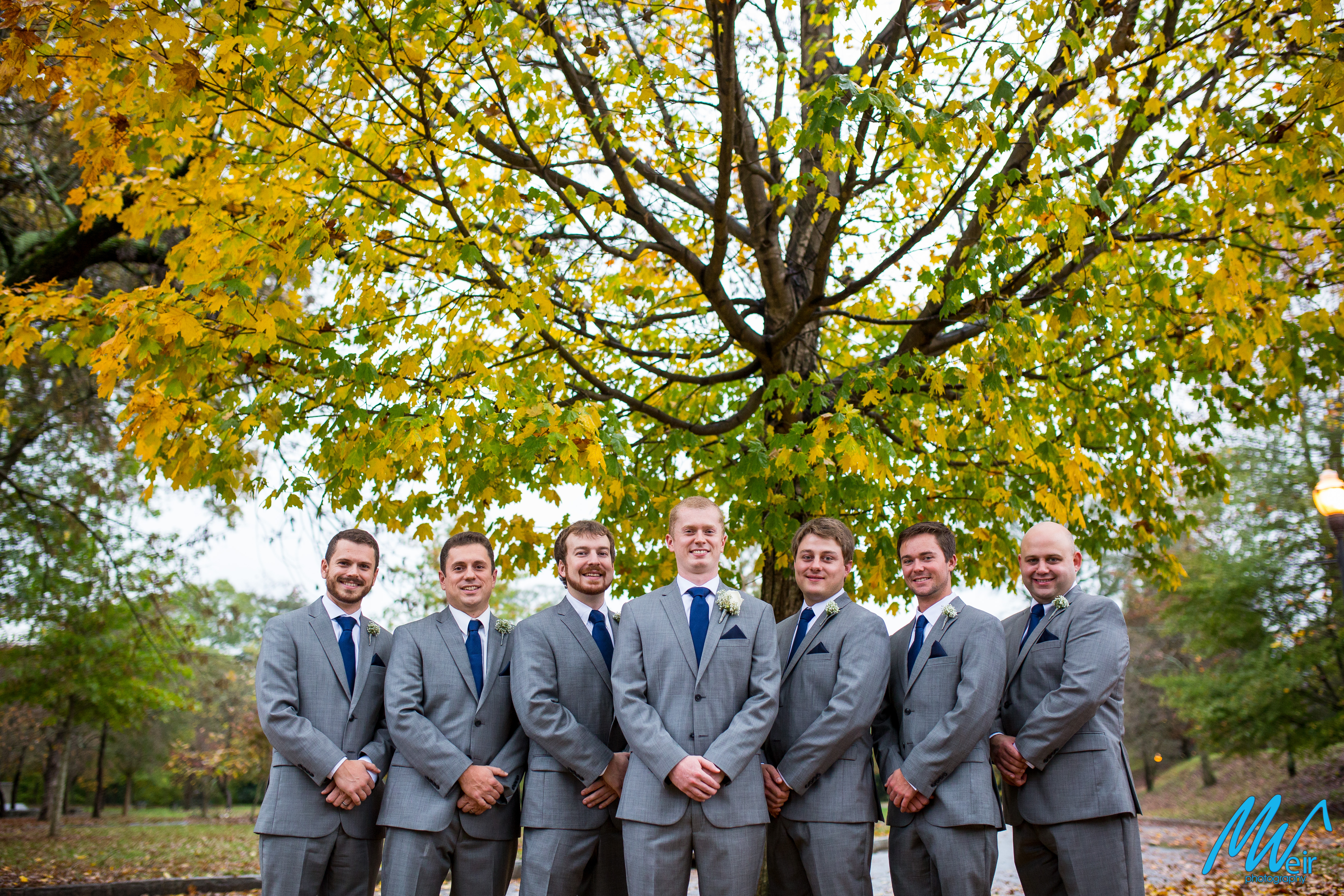 groomsmen in grey suits in front of yellow fall tree